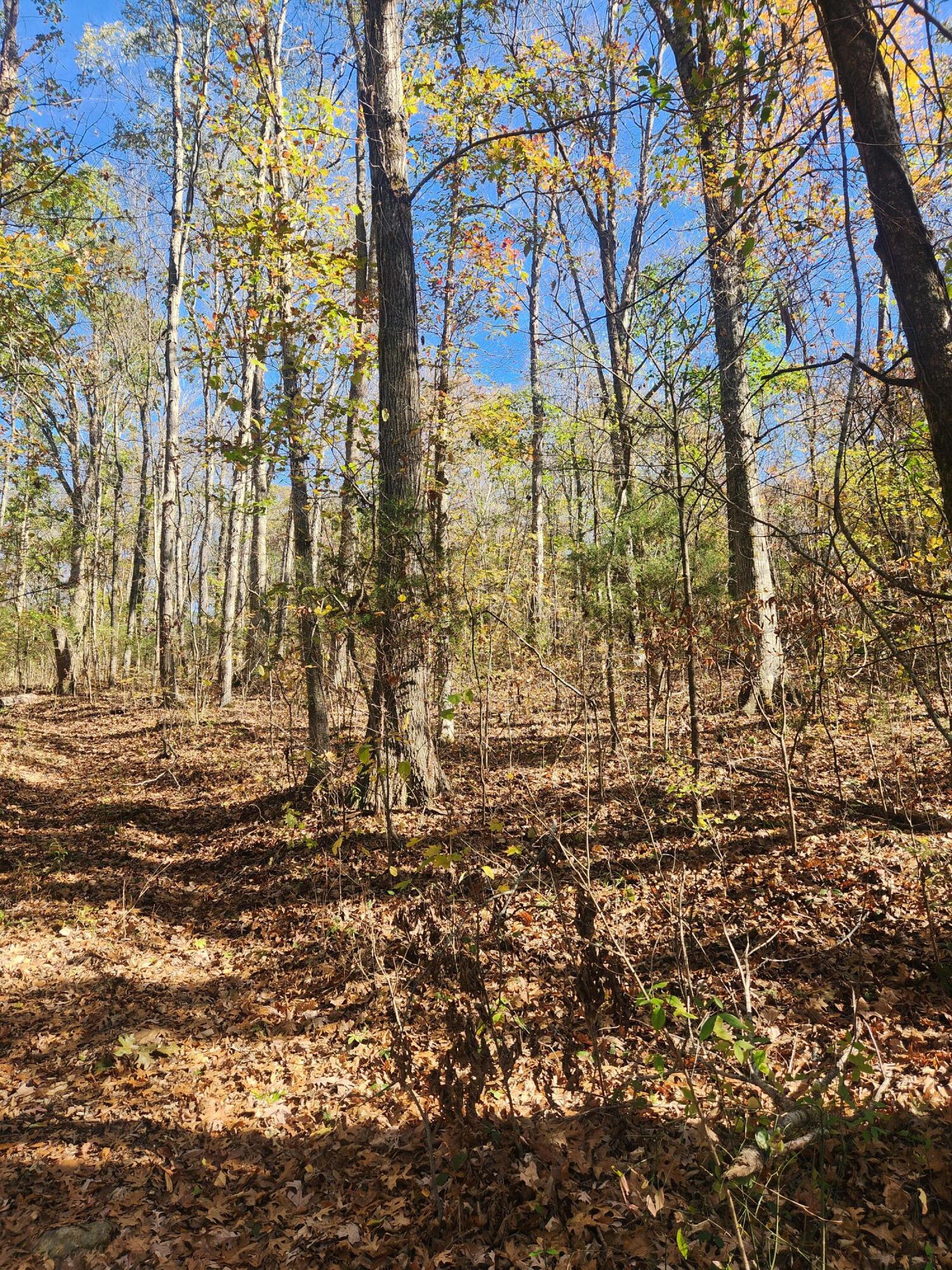 F Graham Road, Dunlap, Tennessee image 4
