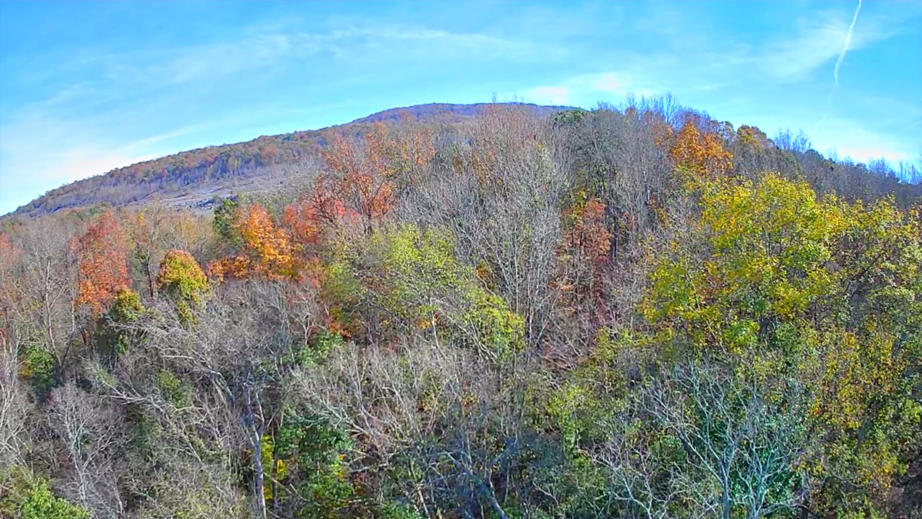F Graham Road, Dunlap, Tennessee image 2