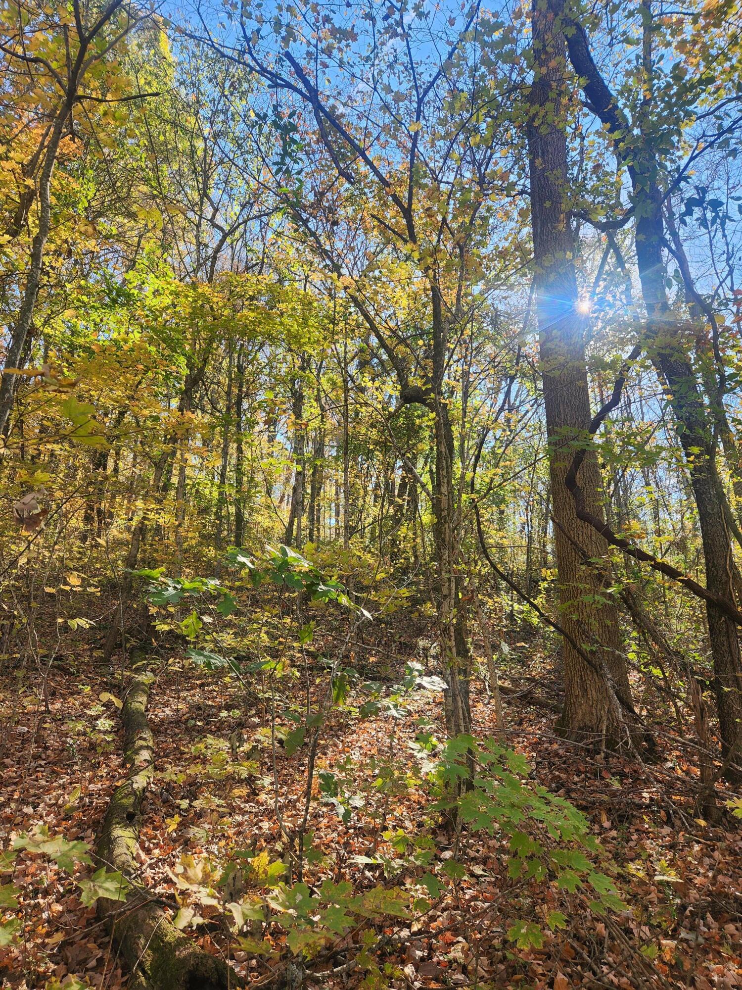 F Graham Road, Dunlap, Tennessee image 18