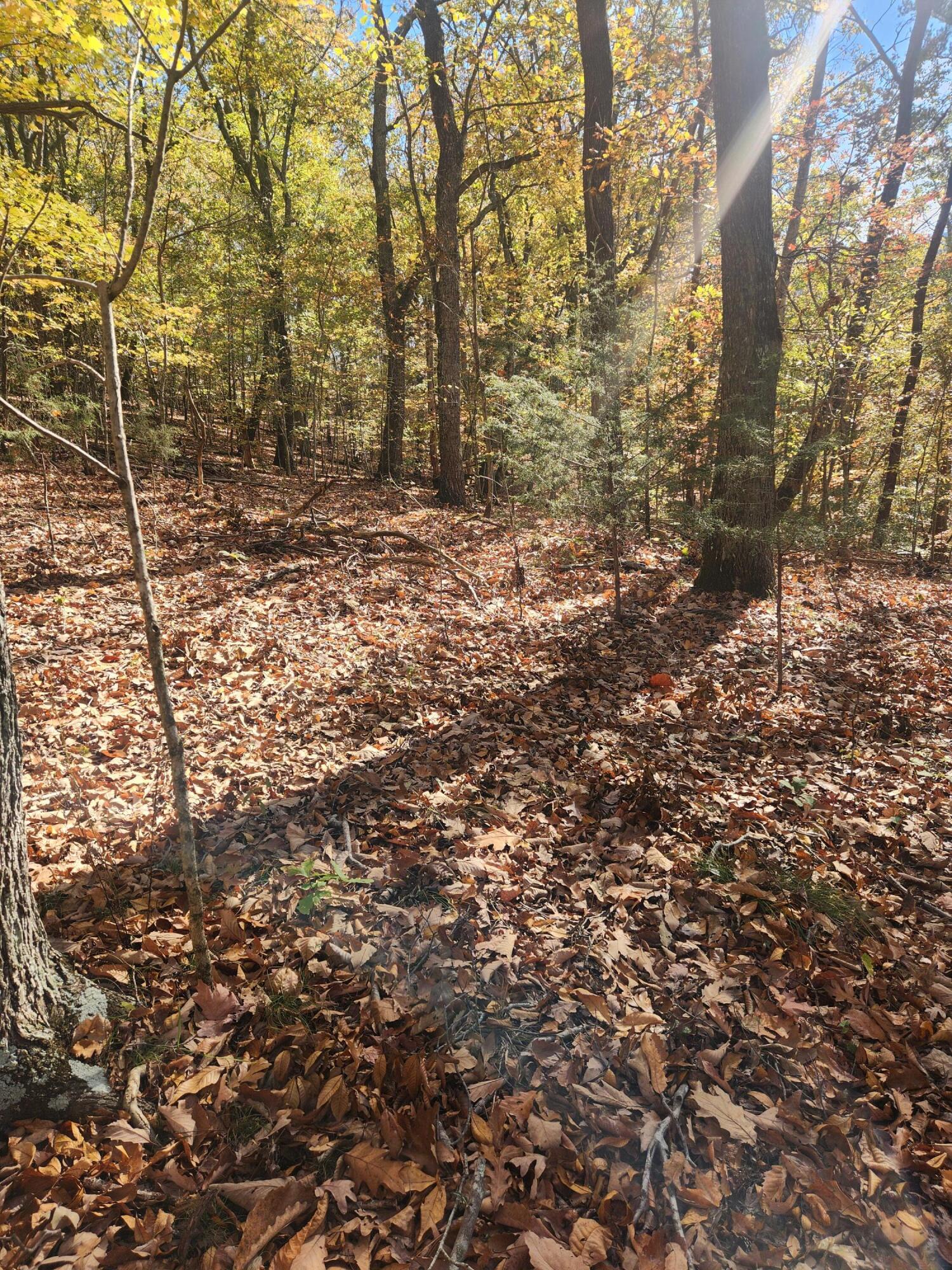 F Graham Road, Dunlap, Tennessee image 11