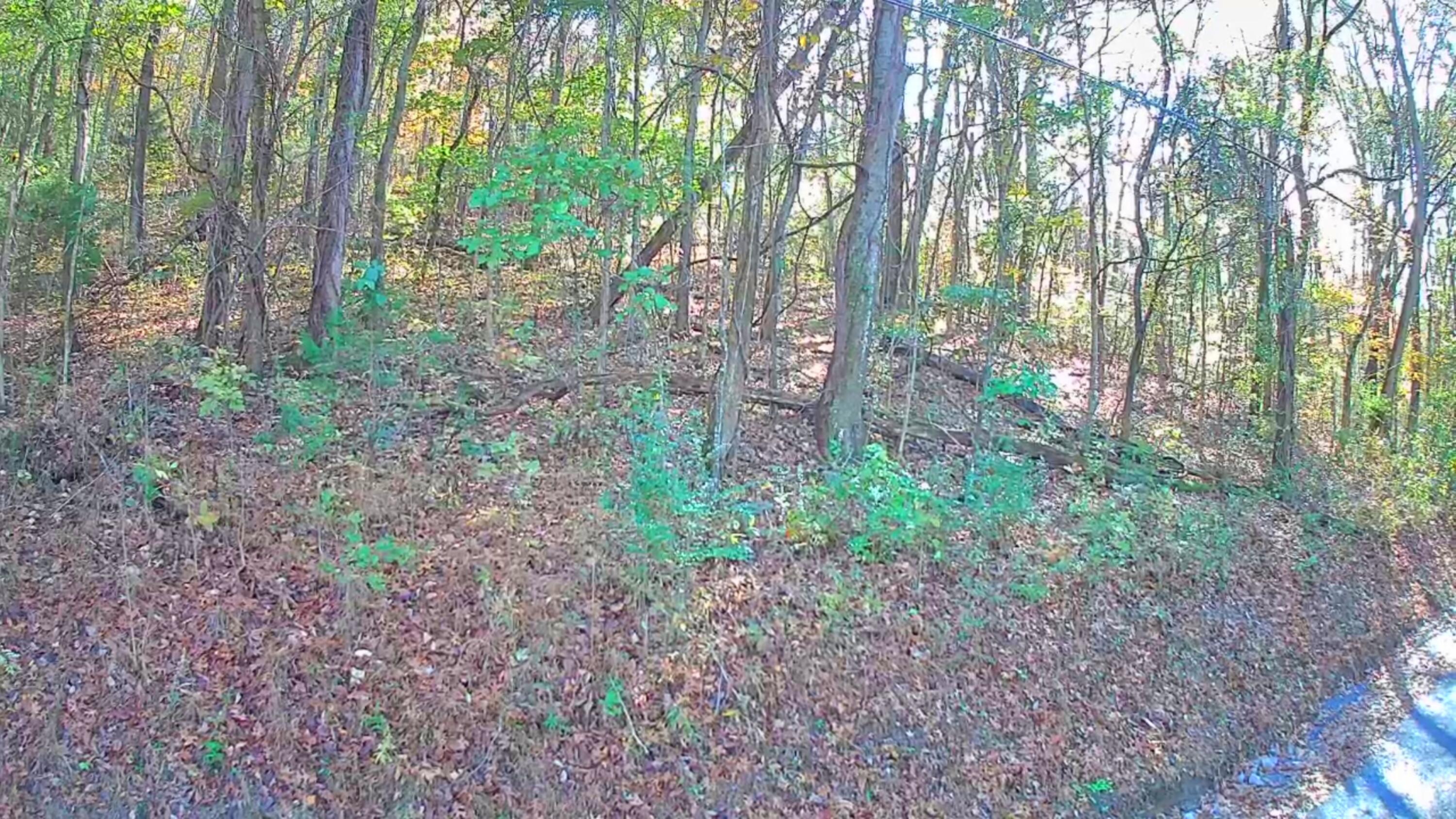 F Graham Road, Dunlap, Tennessee image 20