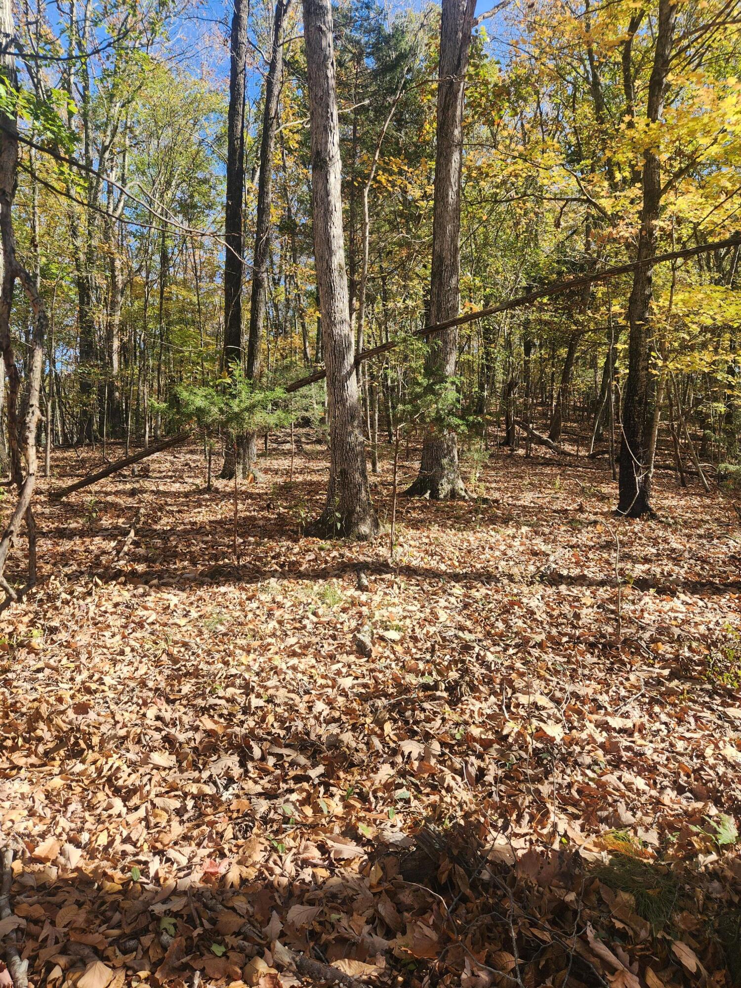 F Graham Road, Dunlap, Tennessee image 12