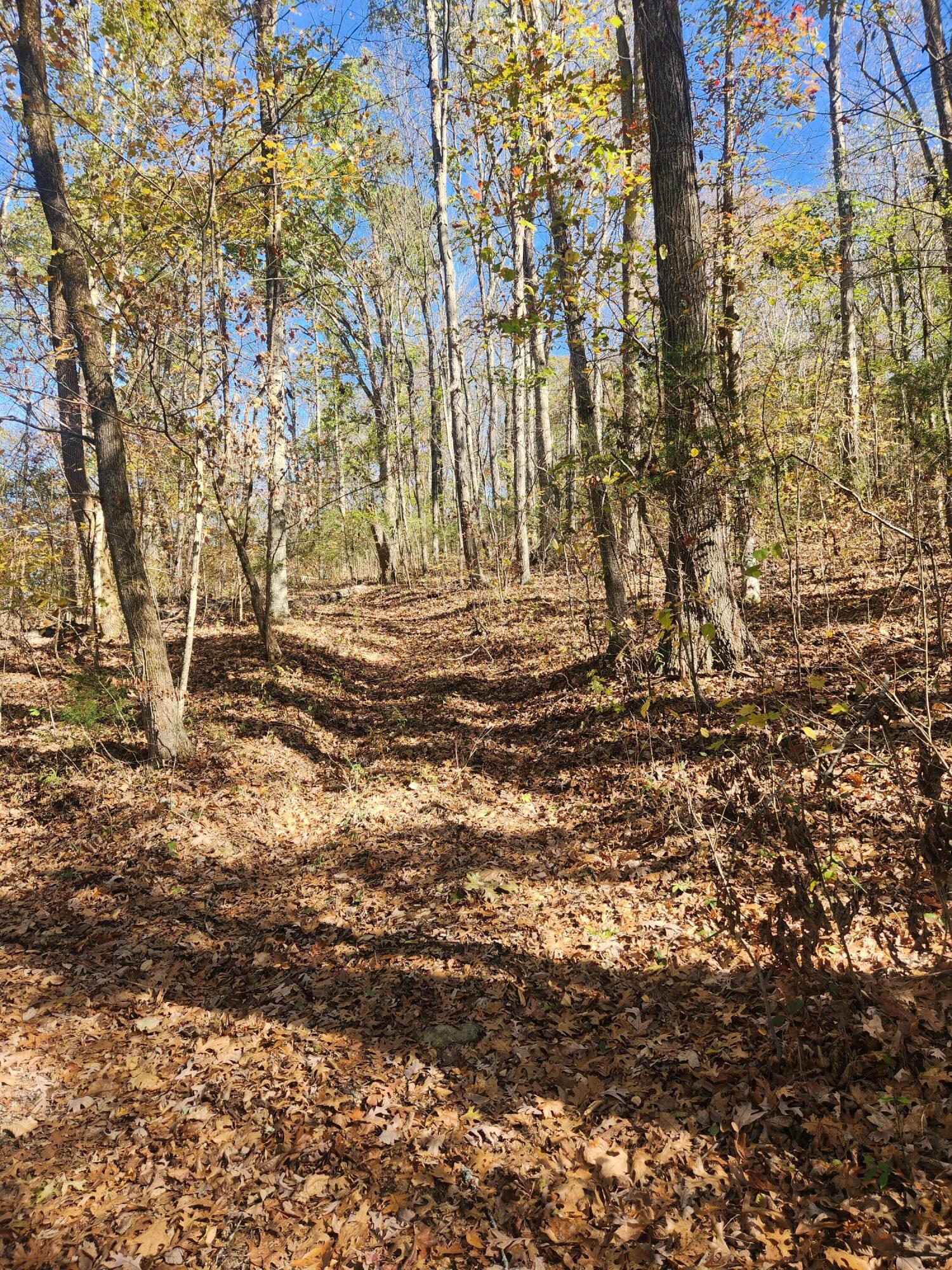 F Graham Road, Dunlap, Tennessee image 6