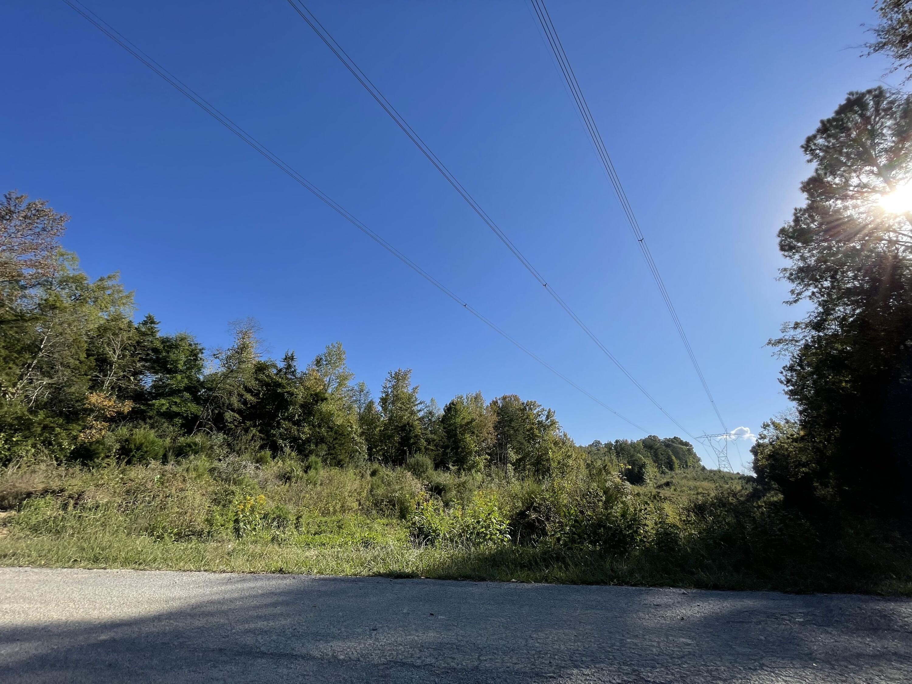 Maple Grove Road, Ten Mile, Tennessee image 8