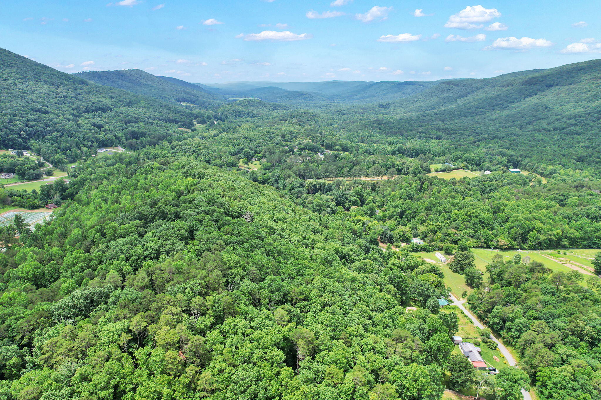 1241 Upper Cove Loop