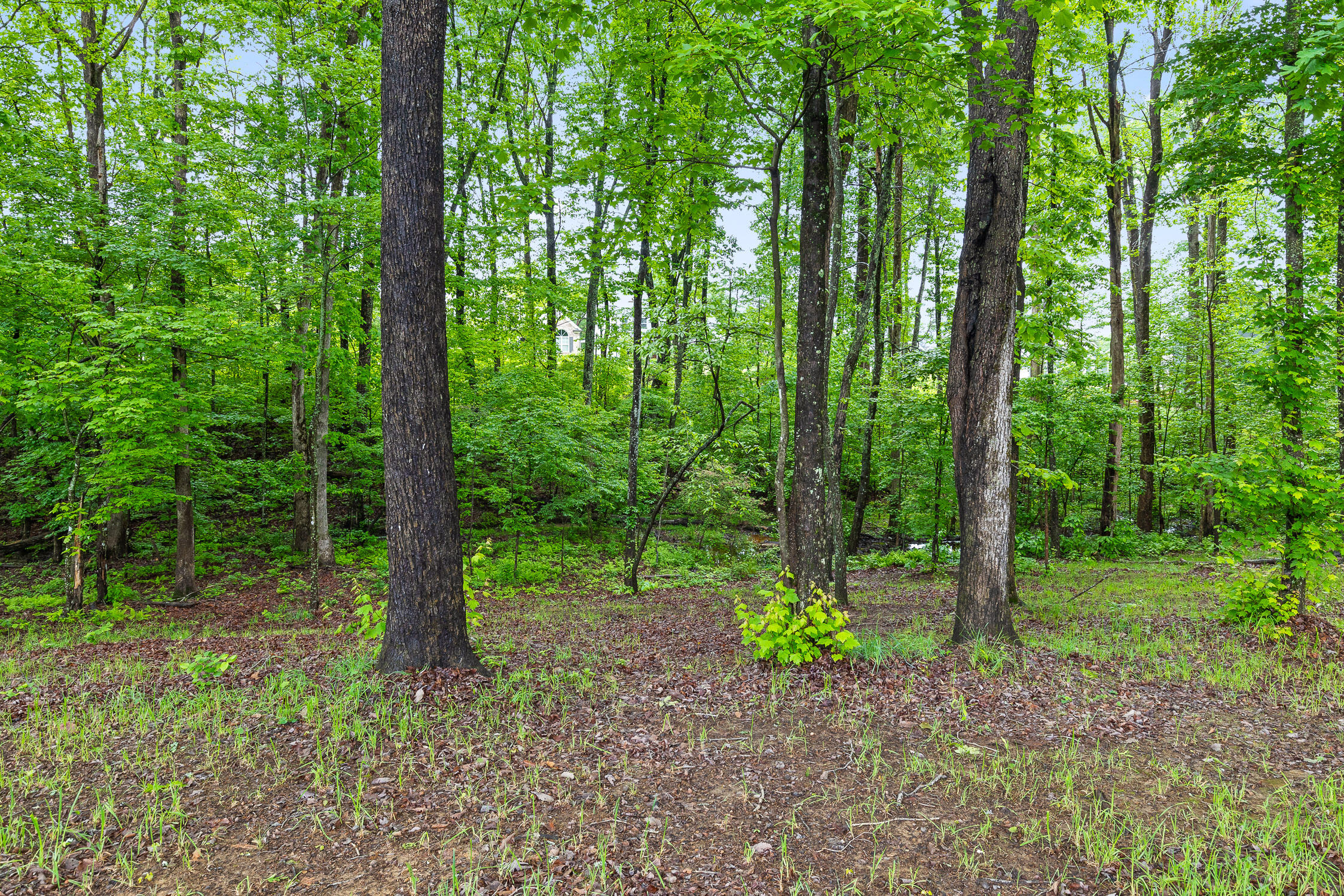 7258 Grey Hawk Trail, Signal Mountain, Tennessee image 45