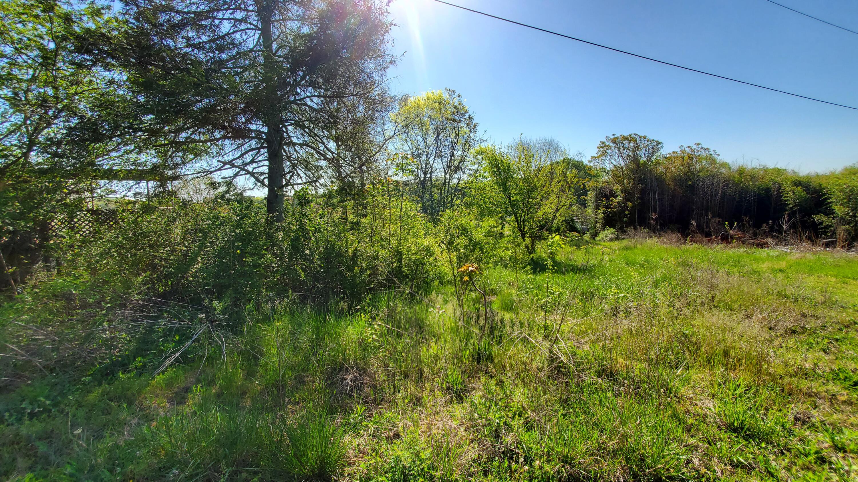 412 Mashburn Road