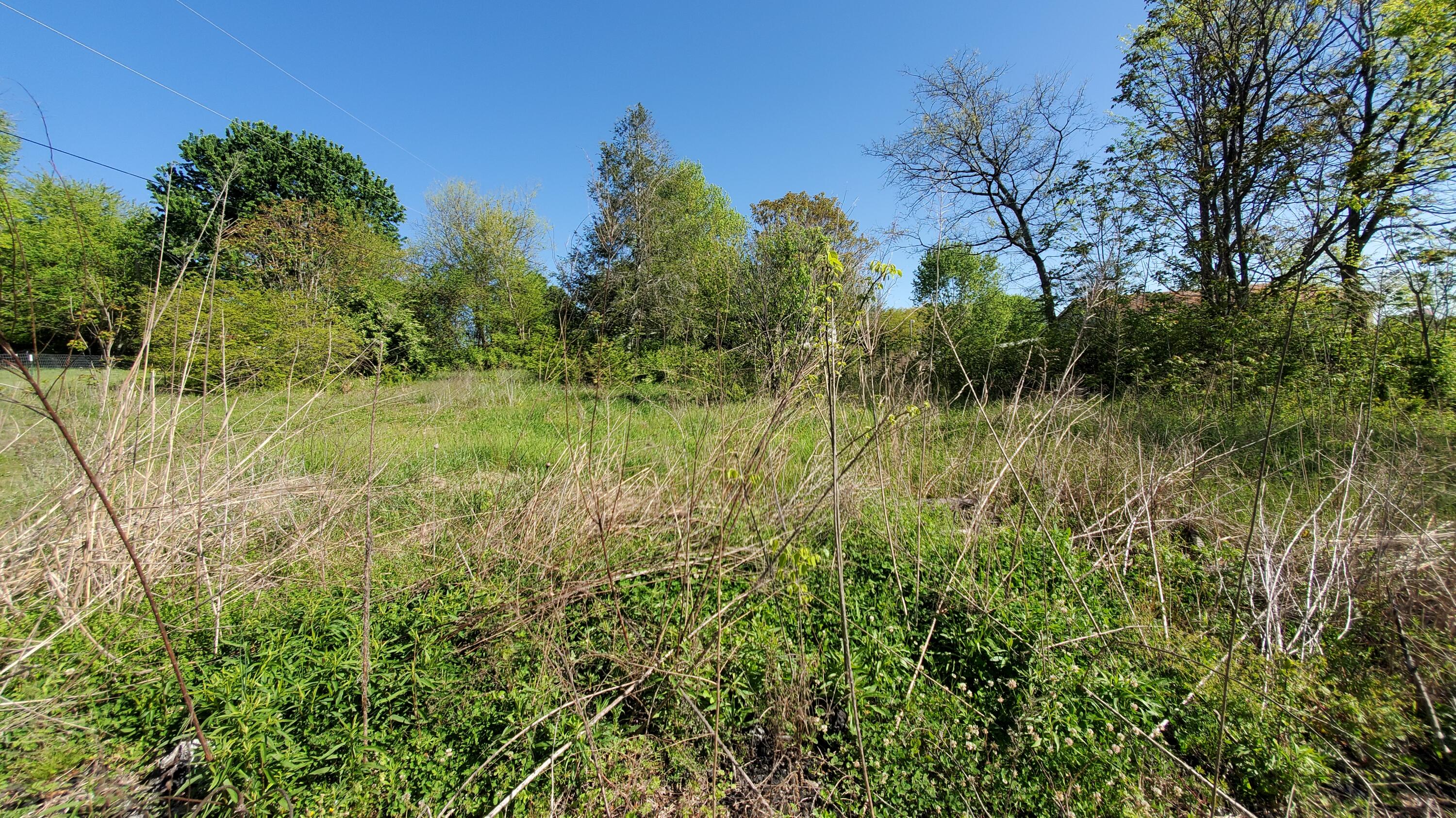 412 Mashburn Road