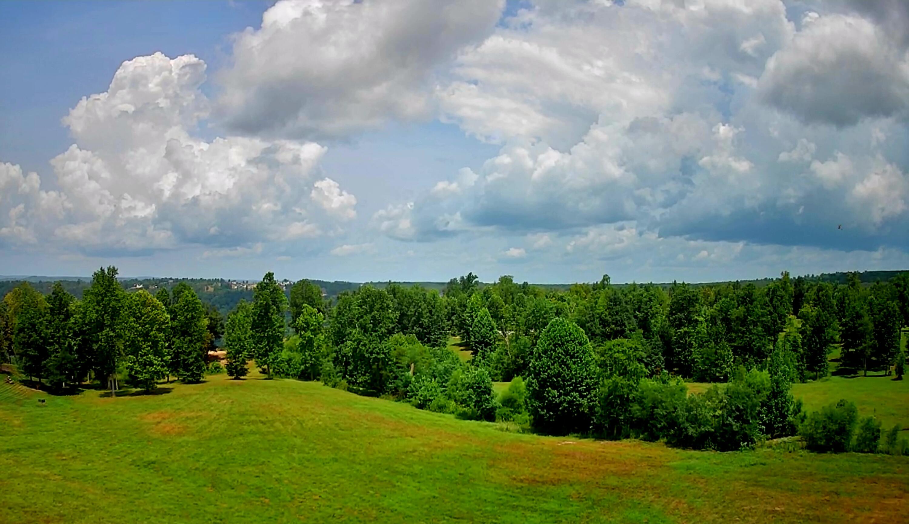 Sweedens Overlook #177, Jasper, Tennessee image 5