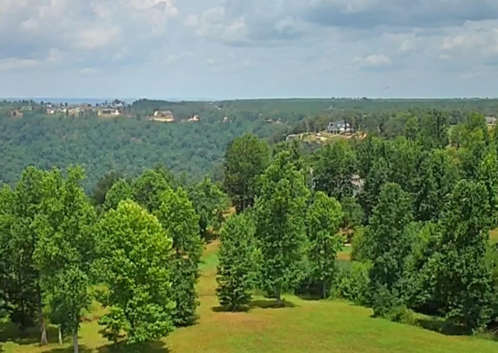 Sweedens Overlook #177, Jasper, Tennessee image 7