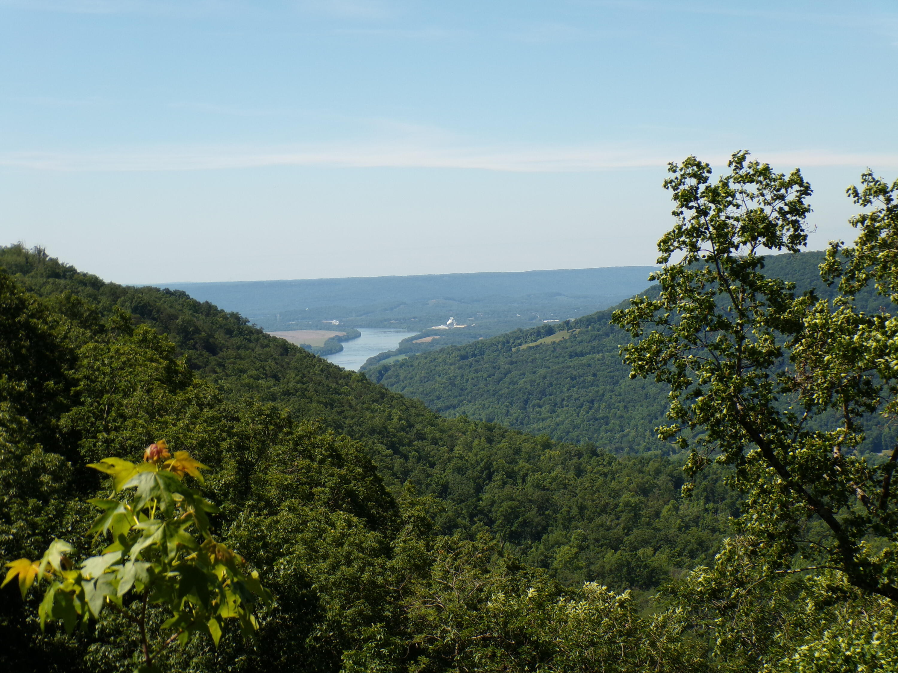 Sweedens Overlook #177, Jasper, Tennessee image 32