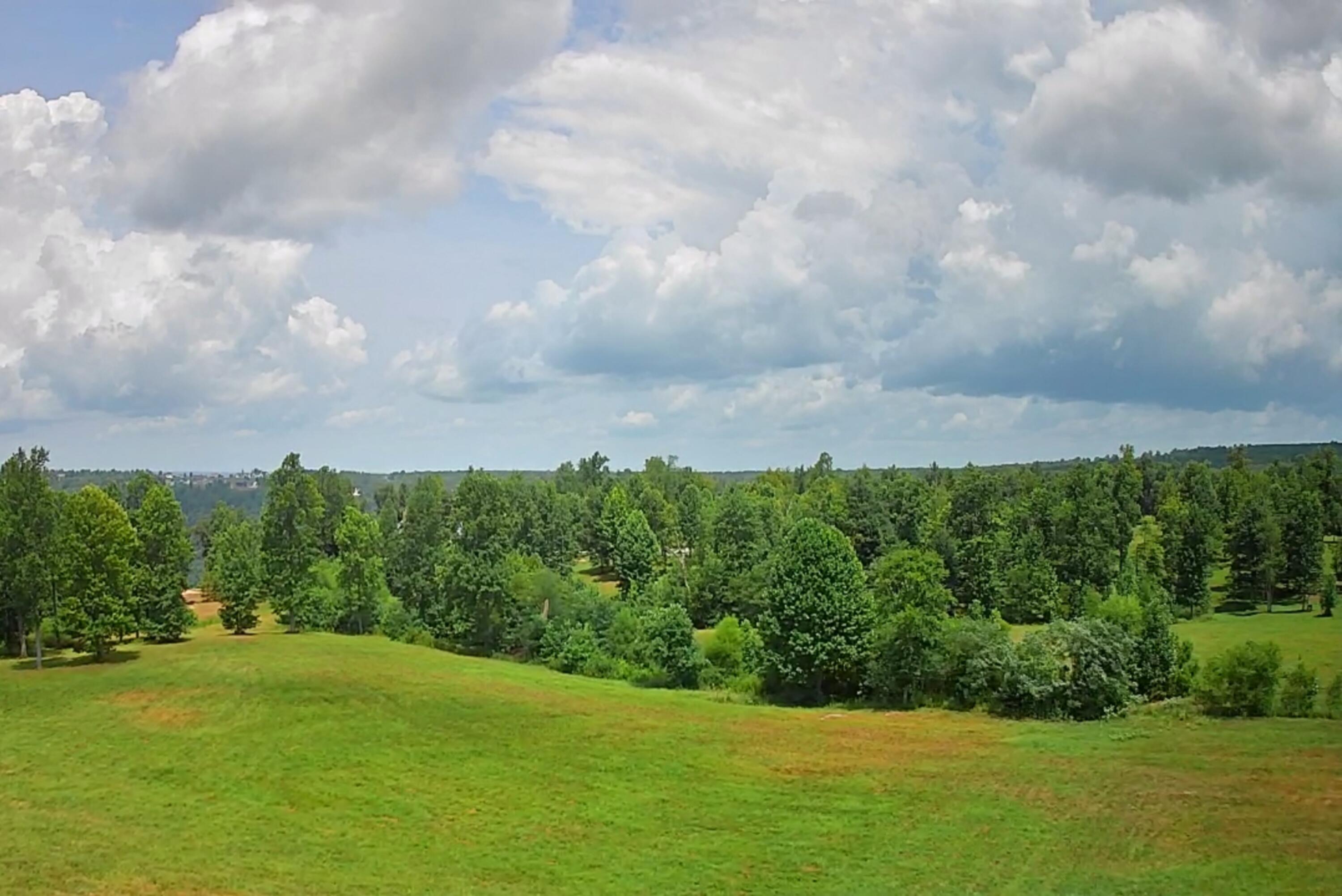 Sweedens Overlook #177, Jasper, Tennessee image 6