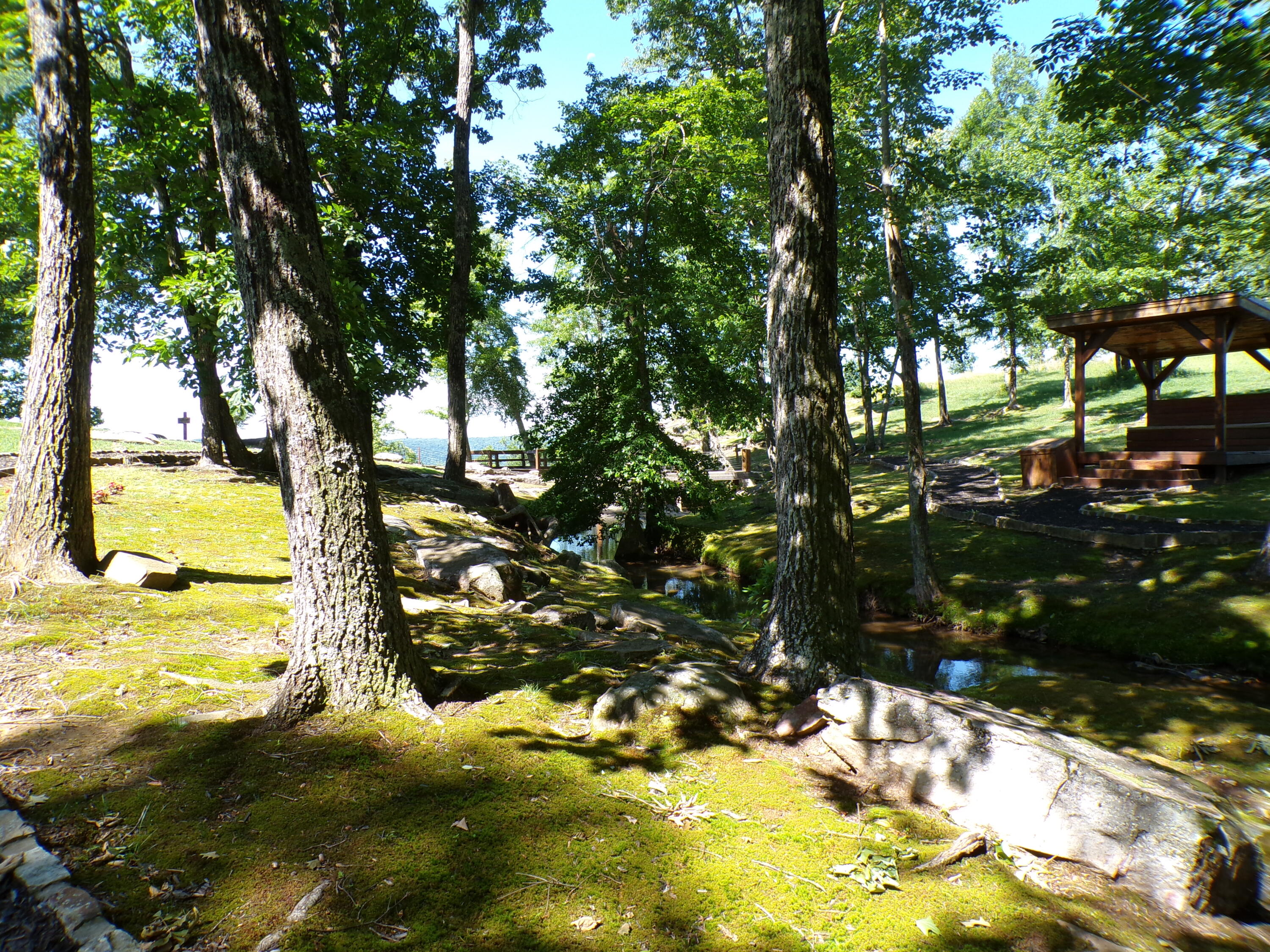 Sweedens Overlook #177, Jasper, Tennessee image 30