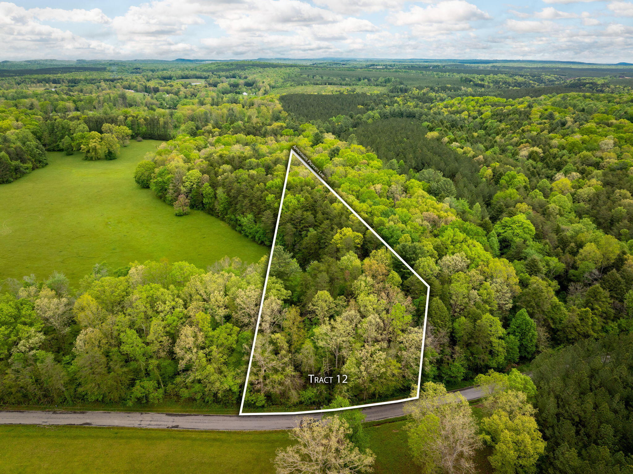 Blaine Smith Road #TRACT 12, Graysville, Tennessee image 1