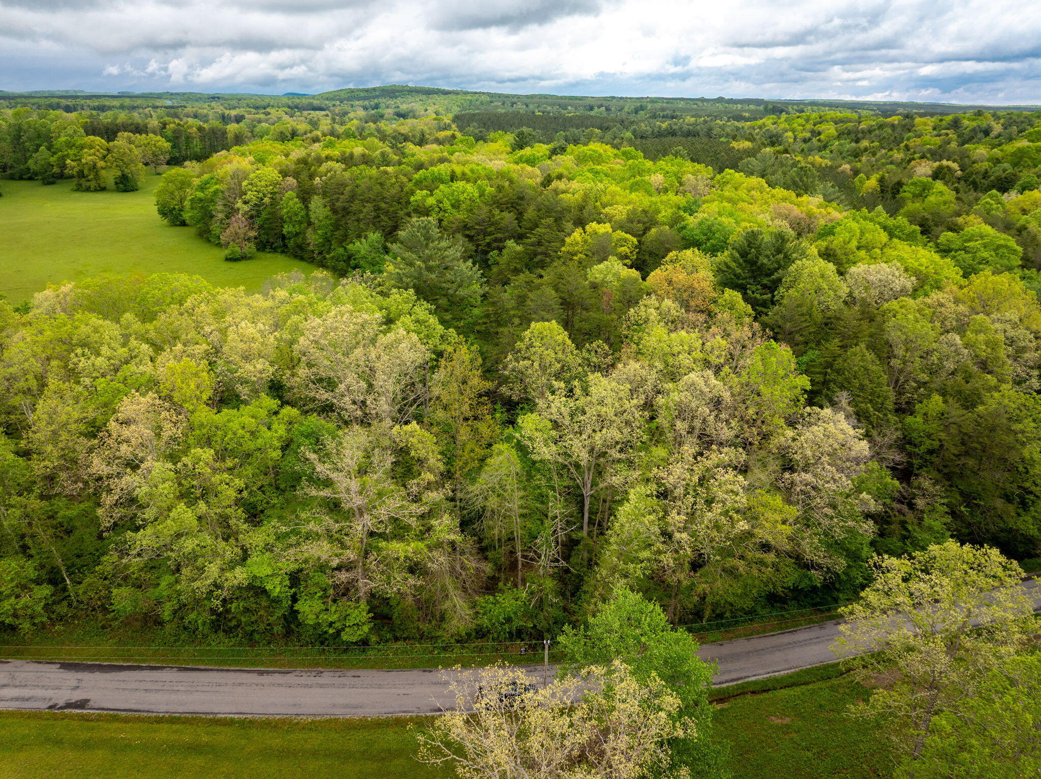 Blaine Smith Road #TRACT 12, Graysville, Tennessee image 2
