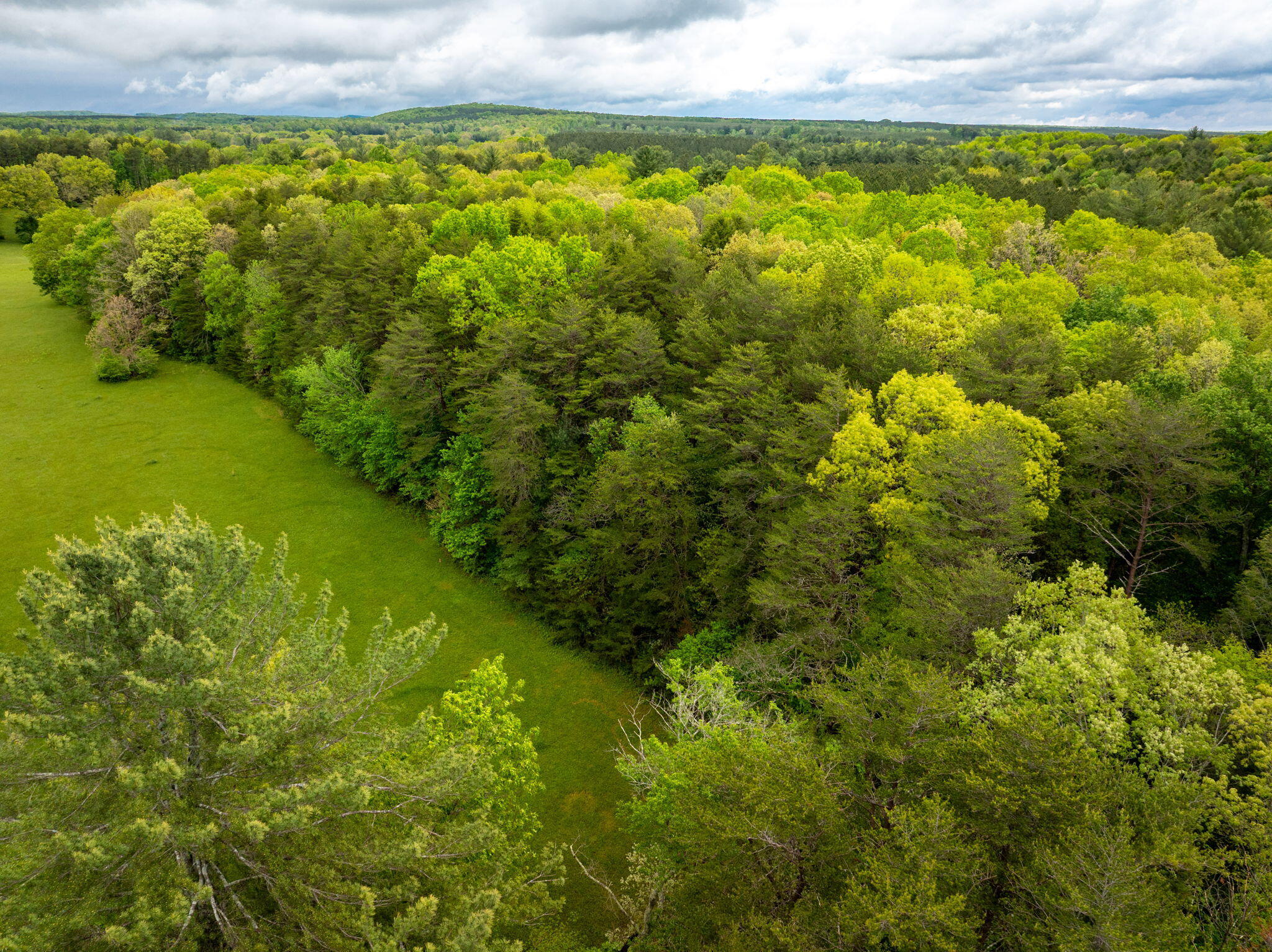 Blaine Smith Road #TRACT 12, Graysville, Tennessee image 3