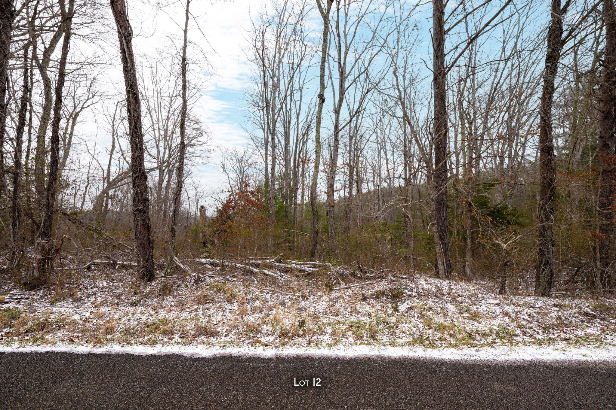 Blaine Smith Road #TRACT 12, Graysville, Tennessee image 8