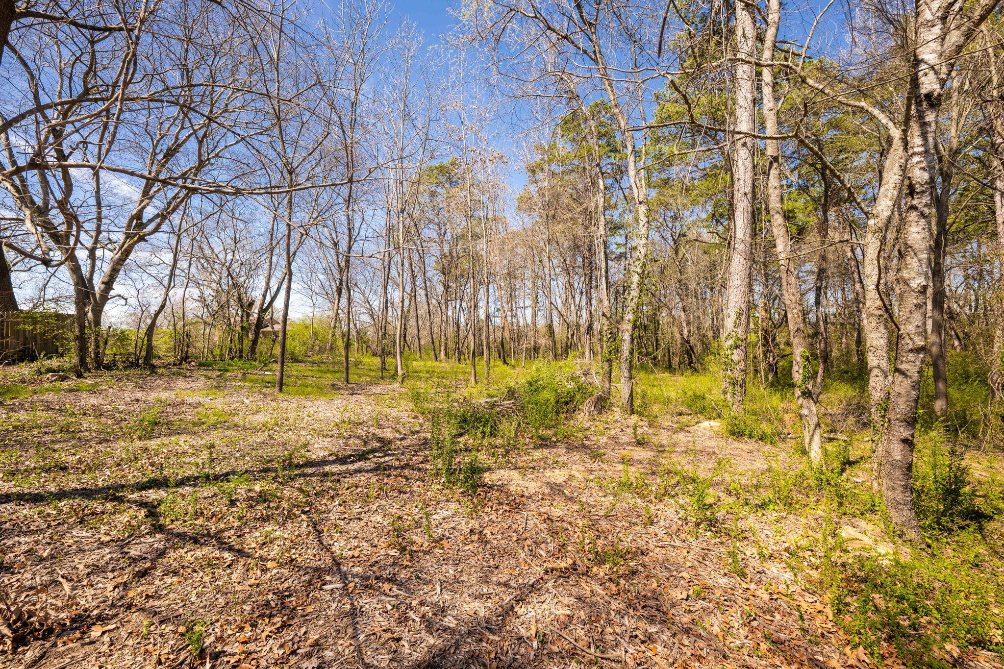 5009 Delashmitt Road, Red Bank, Tennessee image 34