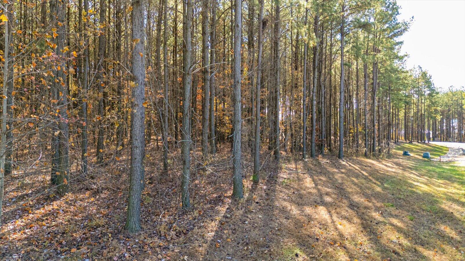 0 Raulston Falls , Lot 121