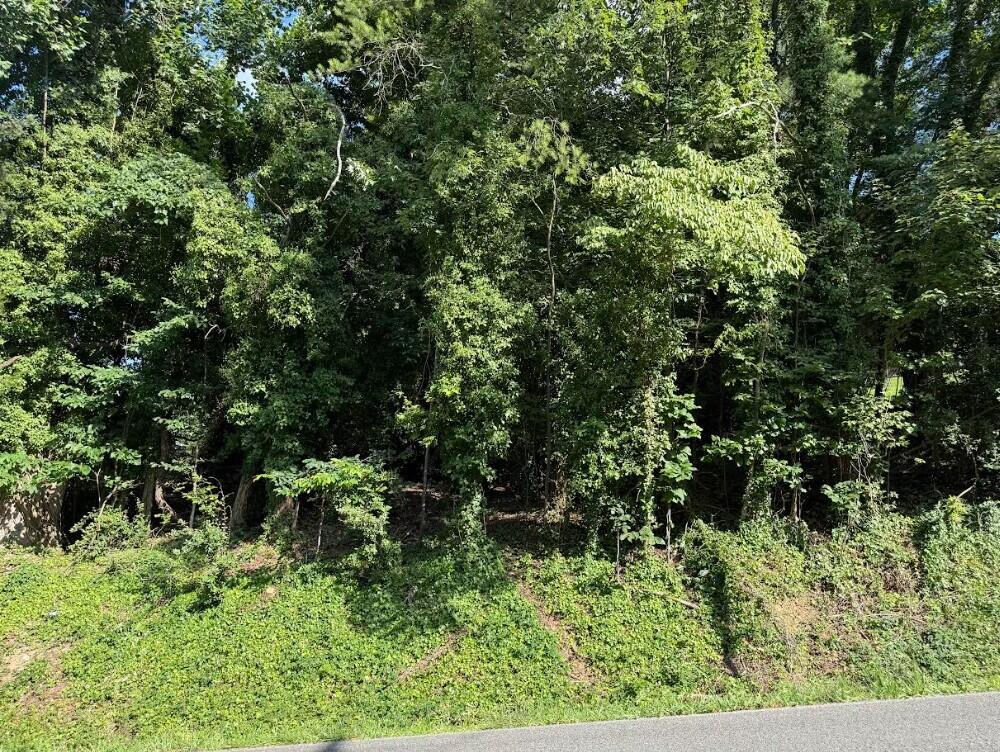 Lot 89 Edgewater Avenue