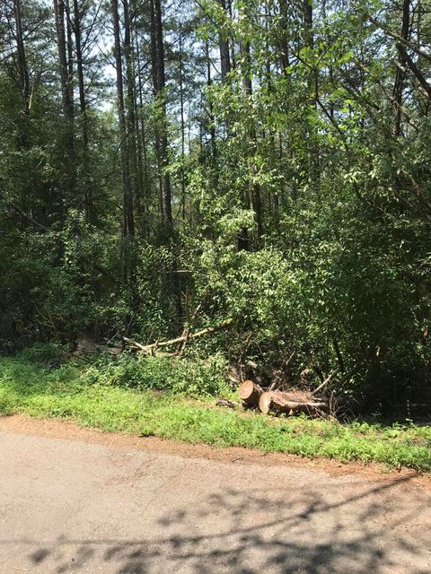 Tiny photo for 0 Hiwassee Street, Ducktown, TN 37326 (MLS # 1375837)