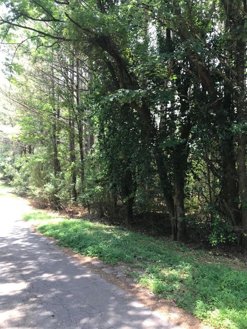 Tiny photo for 0 Hiwassee Street, Ducktown, TN 37326 (MLS # 1375837)