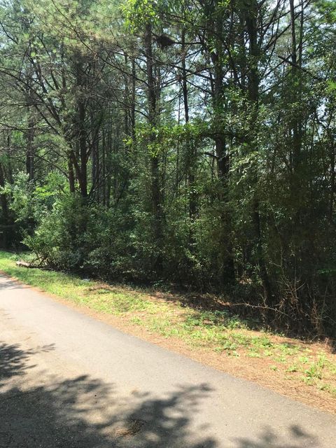 Tiny photo for 0 Hiwassee Street, Ducktown, TN 37326 (MLS # 1375837)