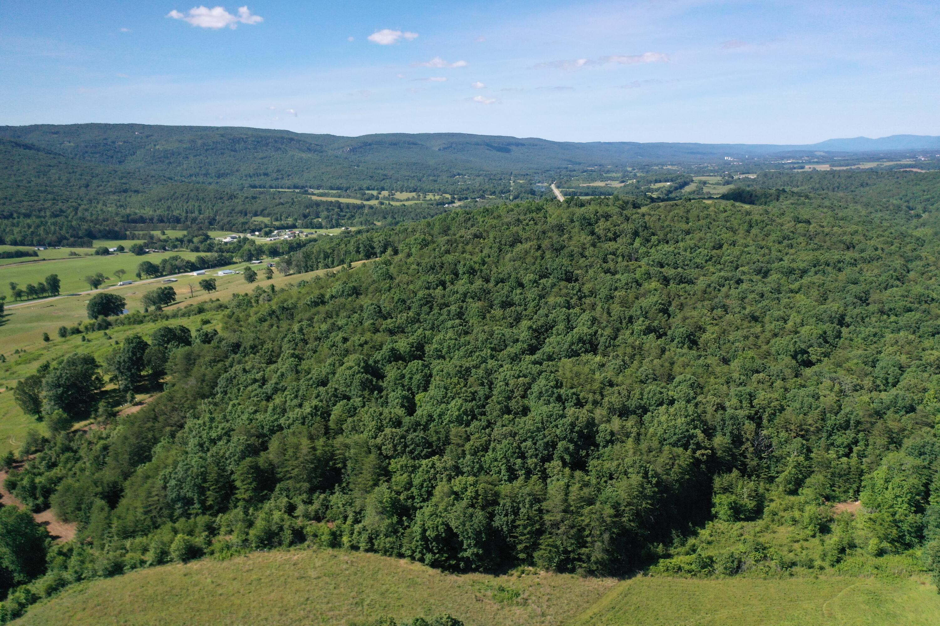 000 Harwood Lane, Pikeville, Tennessee image 4