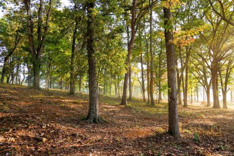 Photo of 1054 Riverbank Ridge, Chattanooga, TN 37415 (MLS # 1530114)