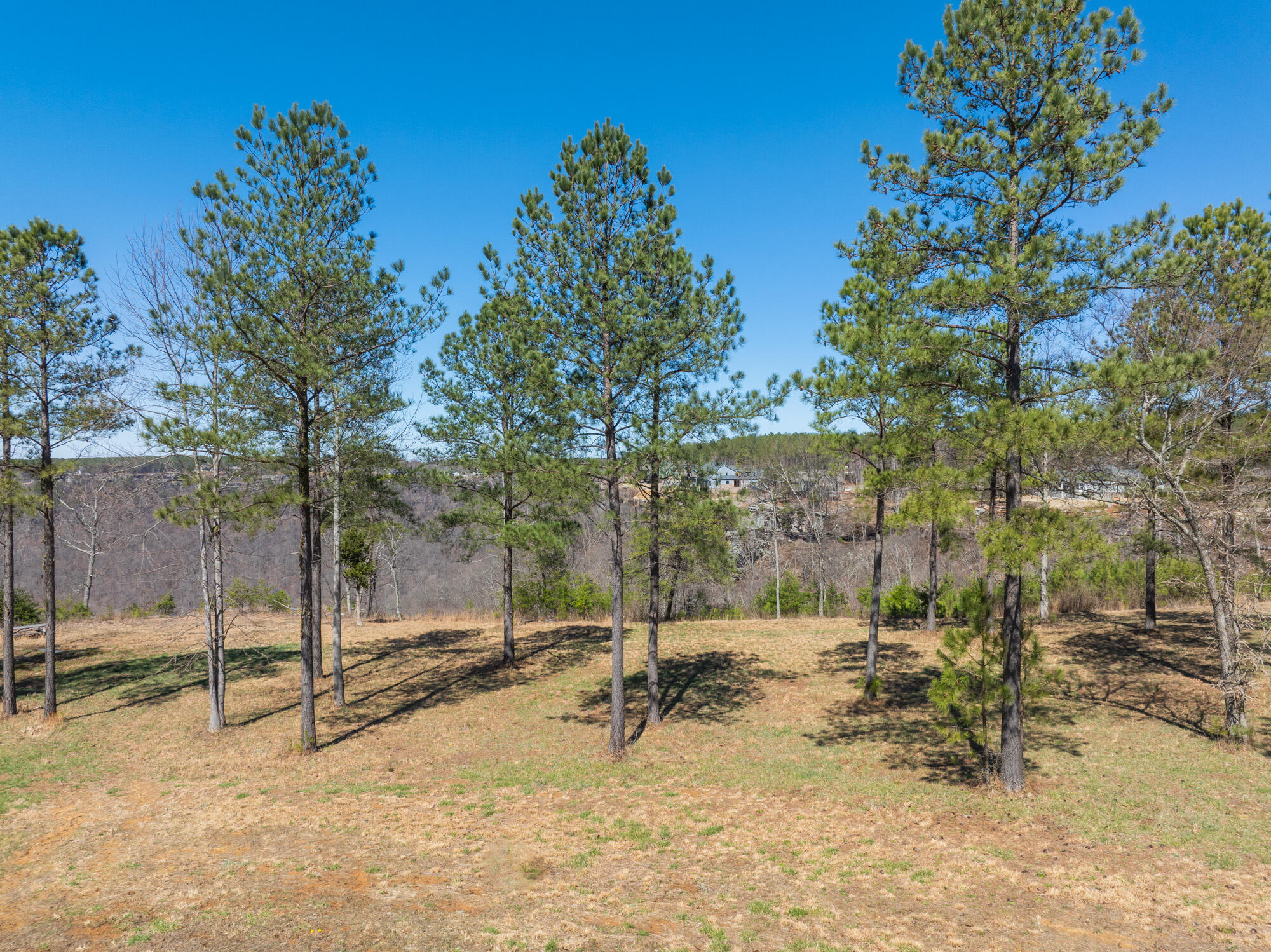 480 Pappy Road, Jasper, Tennessee image 11