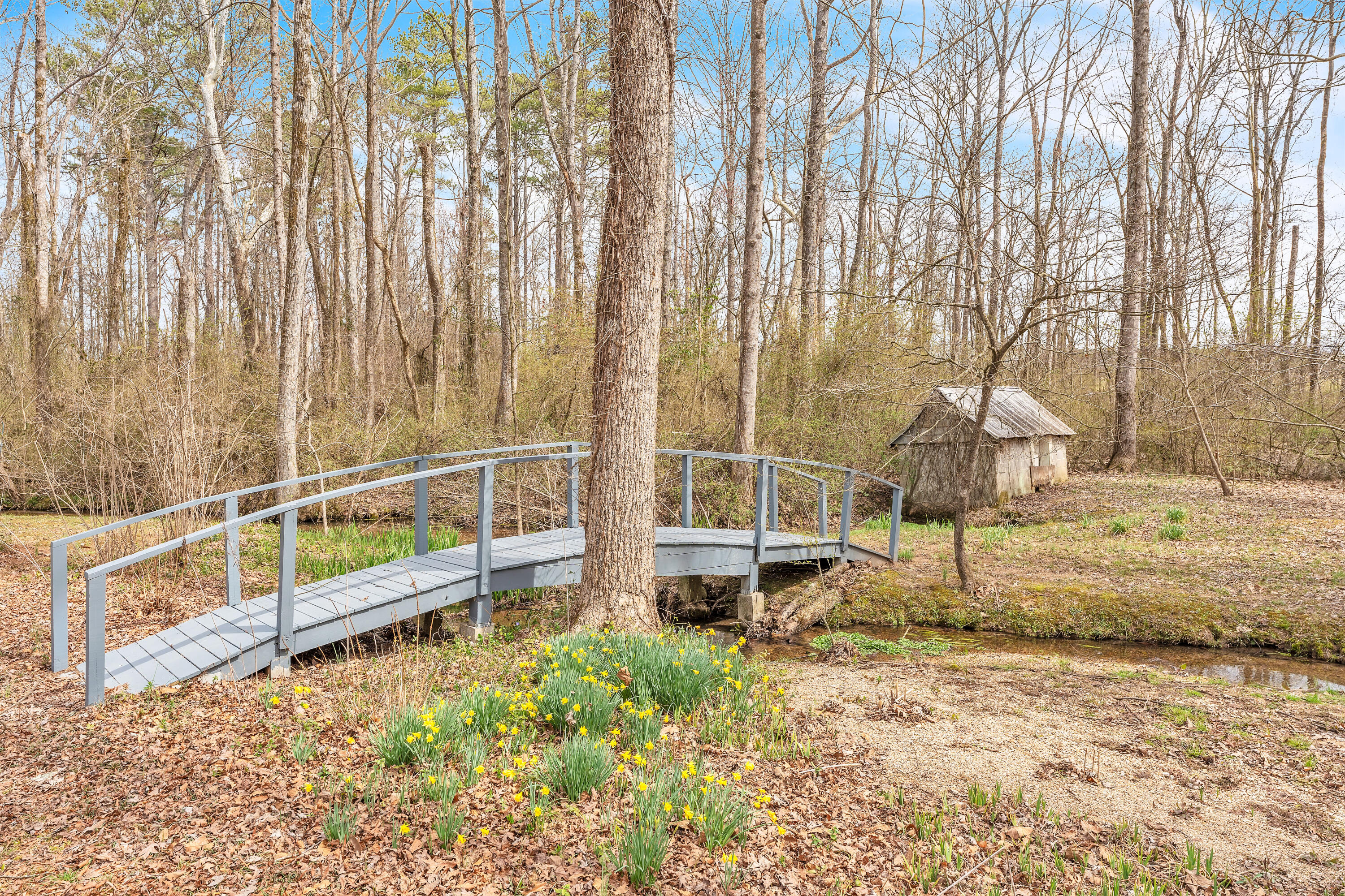 1025 Lowe Road, Cohutta, Georgia image 33