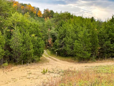 Tiny photo for 0 Parrotts Chapel Road, Sevierville, TN 37876 (MLS # 1345667)