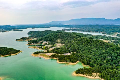 Tiny photo for 0 Parrotts Chapel Road, Sevierville, TN 37876 (MLS # 1345667)