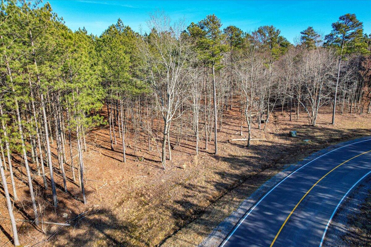 Raulston Falls Road #JF116, Jasper, Tennessee image 9
