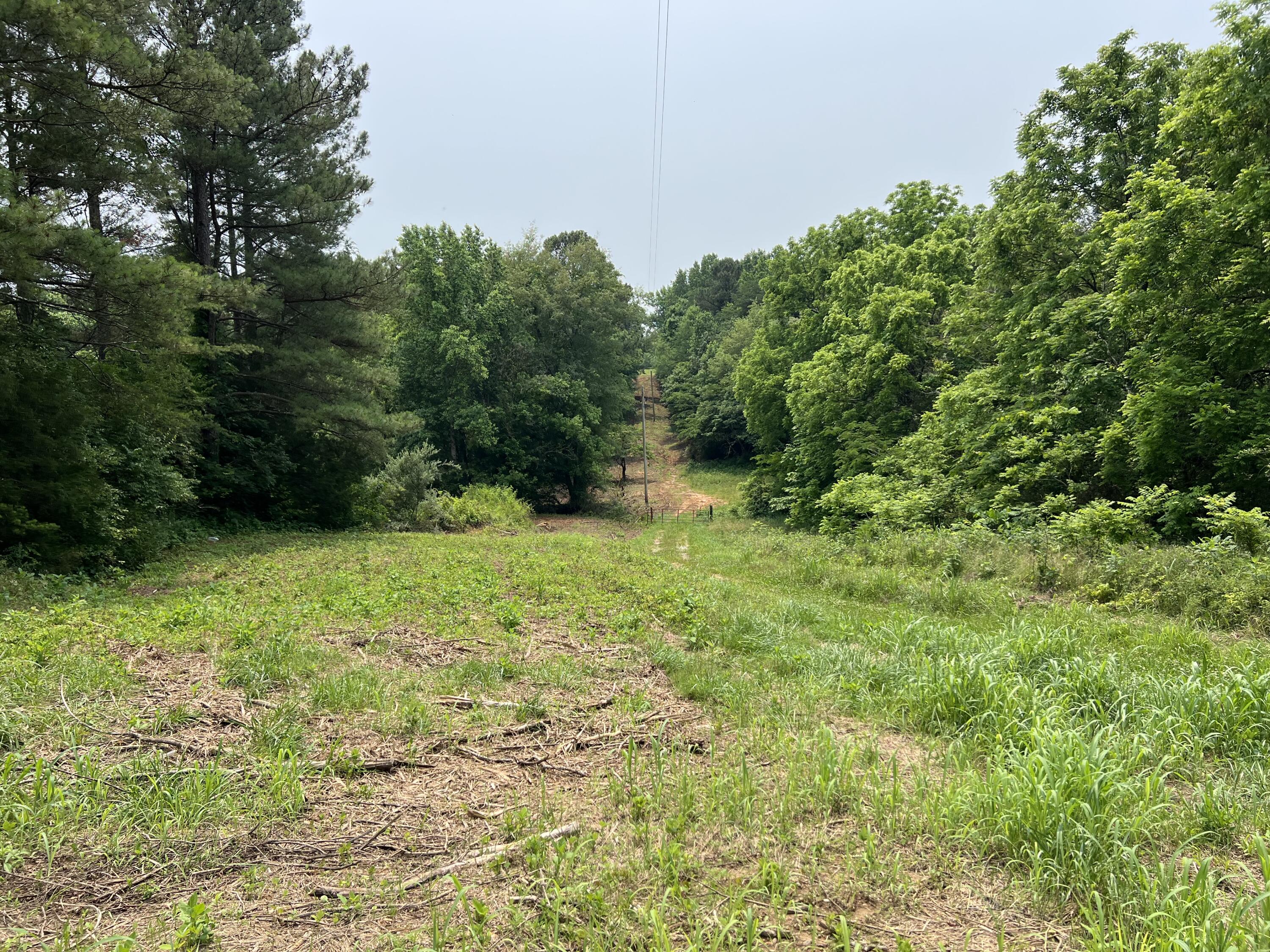 238 County Road 792, Etowah, Tennessee image 6