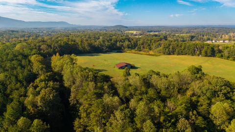 Tiny photo for 238 County Road 792, Etowah, TN 37331 (MLS # 1513950)