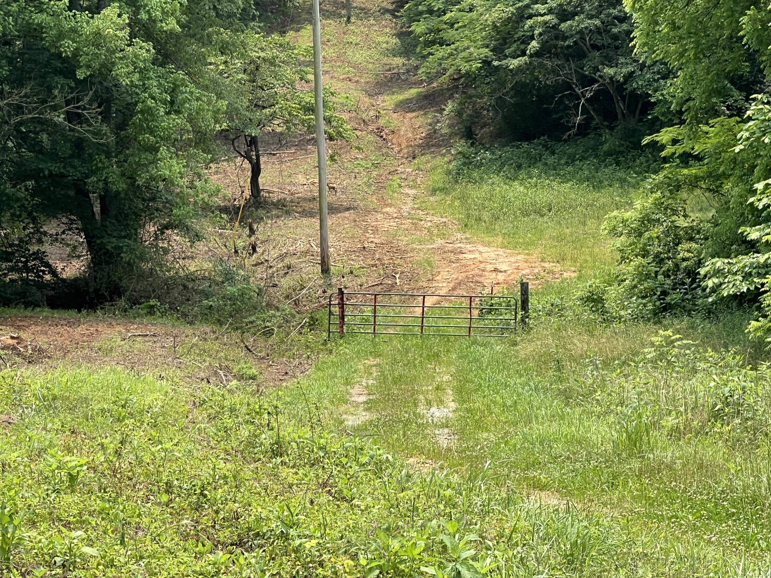 238 County Road 792, Etowah, Tennessee image 8