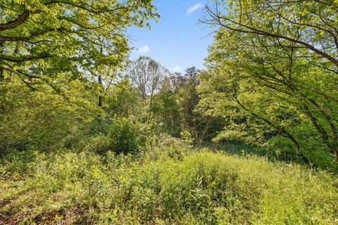 Tiny photo for 553 Back Valley Road, Trenton, GA 30752 (MLS # 1510661)