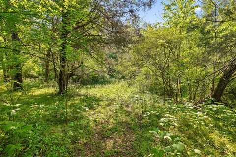 Tiny photo for 553 Back Valley Road, Trenton, GA 30752 (MLS # 1510661)