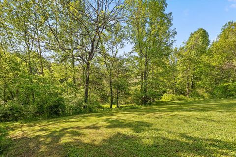 Tiny photo for 553 Back Valley Road, Trenton, GA 30752 (MLS # 1510661)