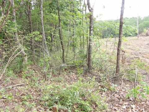 Photo of Lot 7 Hughes Road, Pikeville, TN 37332 (MLS # 1514913)