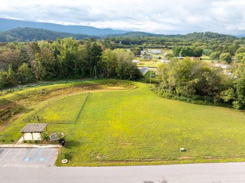Photo of 101 Angel Oak Drive, Dunlap, TN 37327 (MLS # 1522030)