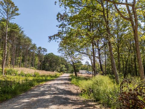 Photo of 841 Griffith Road, Pikeville, TN 37367 (MLS # 1520009)