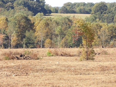 Vacant Land For Sale - LOT 25A Summer City Road<br/> Bledsoe County, Evensville, TN 37332