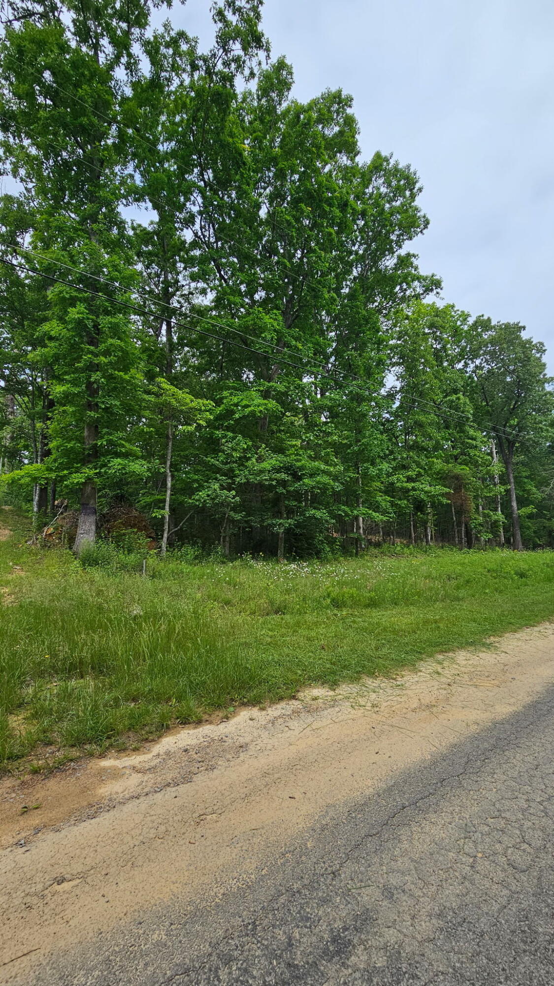 00 Ashford Drive, Crossville, Tennessee image 4