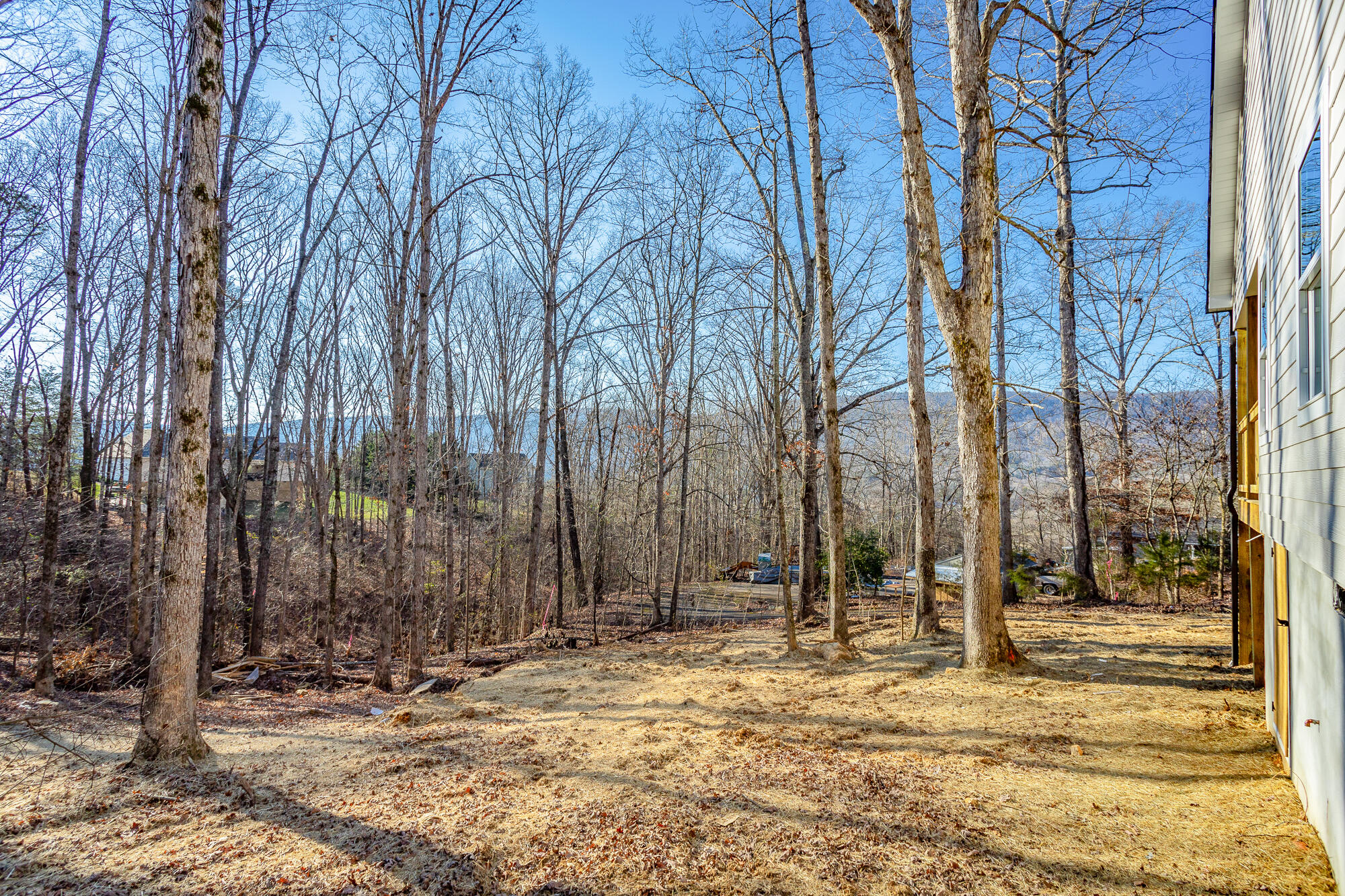 212 Ridgetop Drive, Dunlap, Tennessee image 41