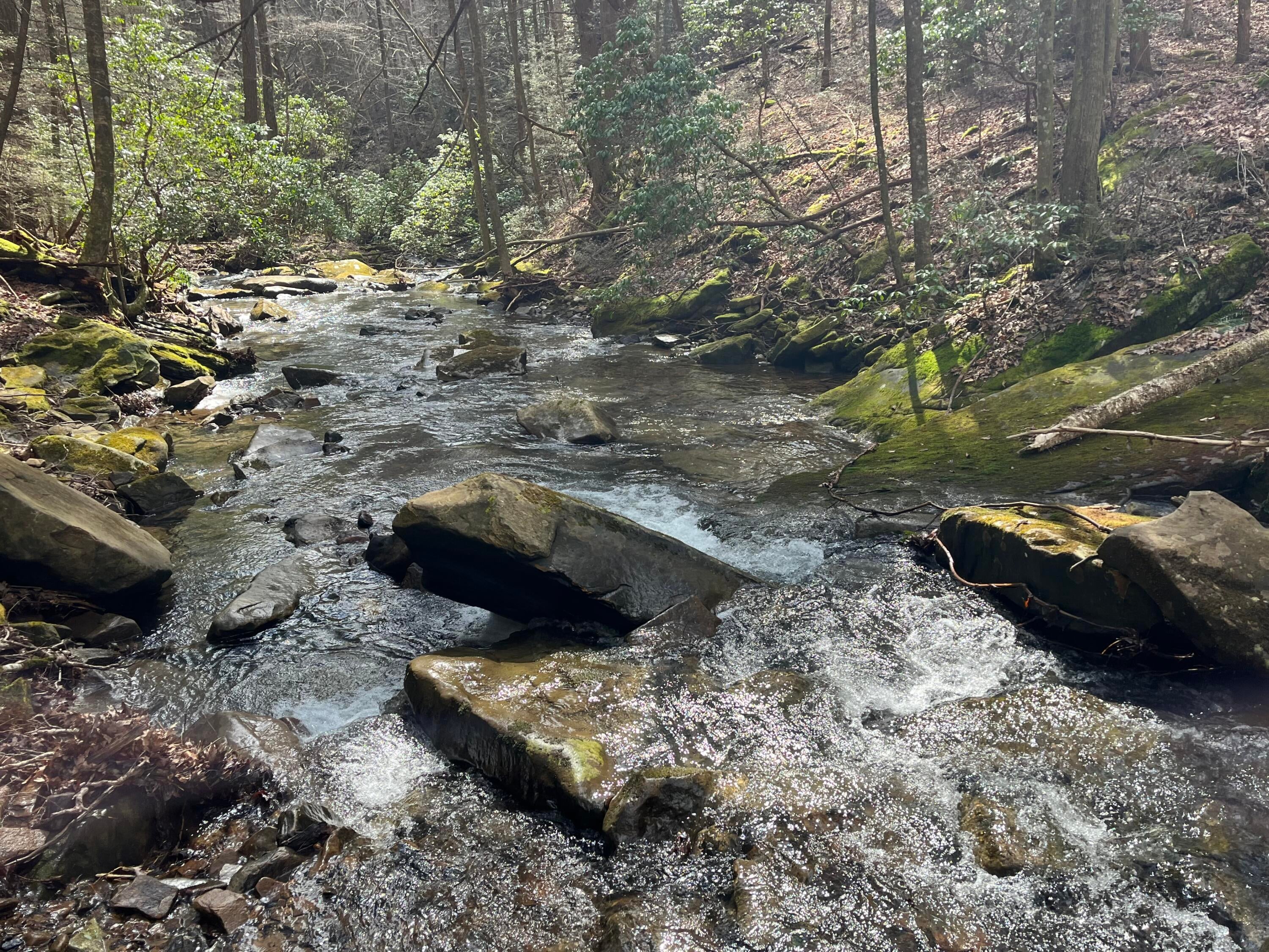 126 Kelly Creek Road