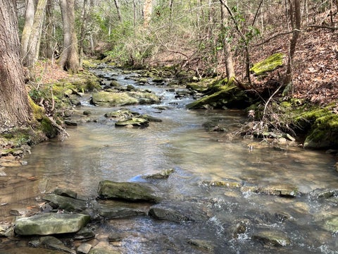 Photo of 126 Kelly Creek Road, Whitwell, TN 37397 (MLS # 1544517)