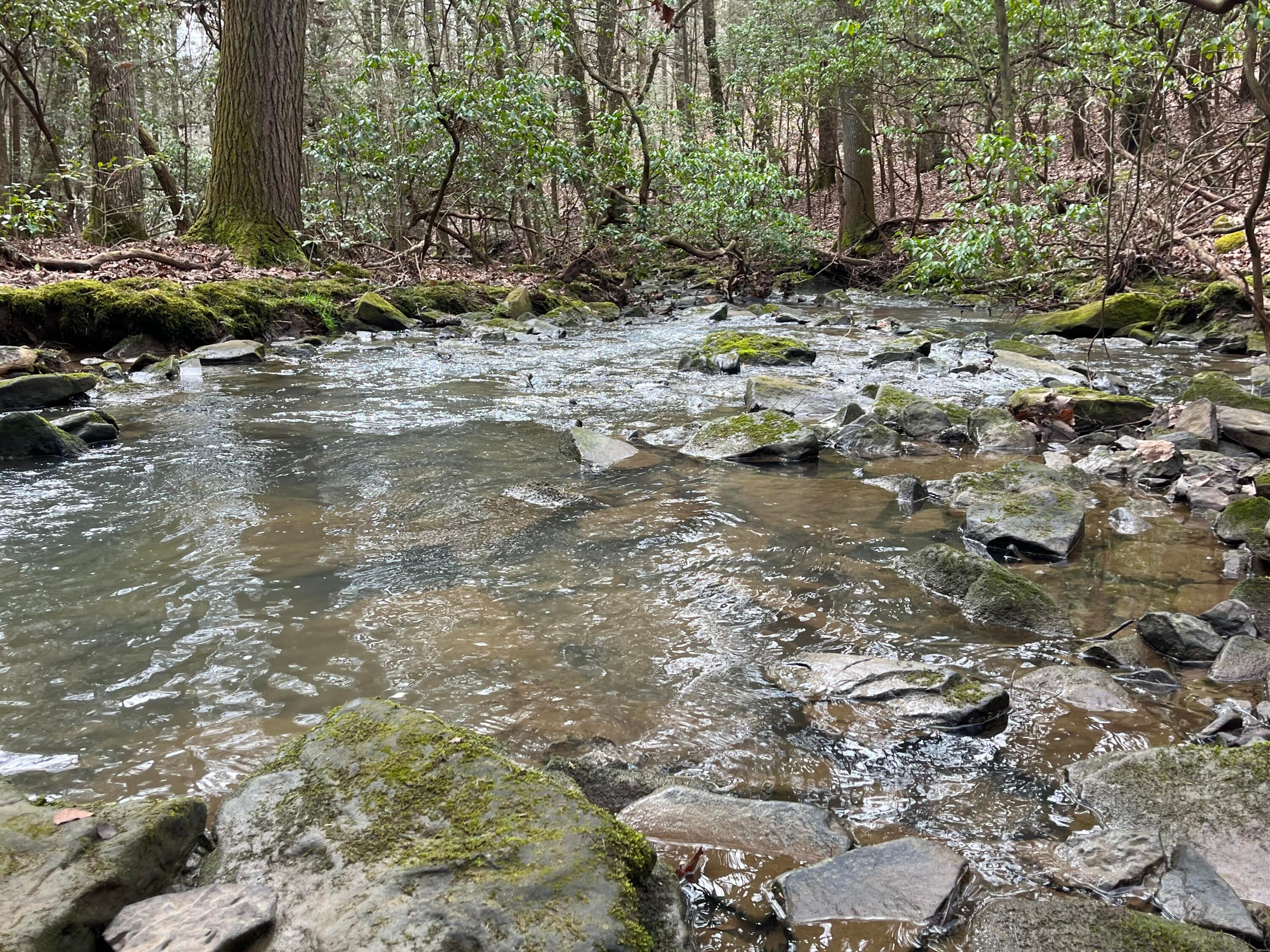 126 Kelly Creek Road
