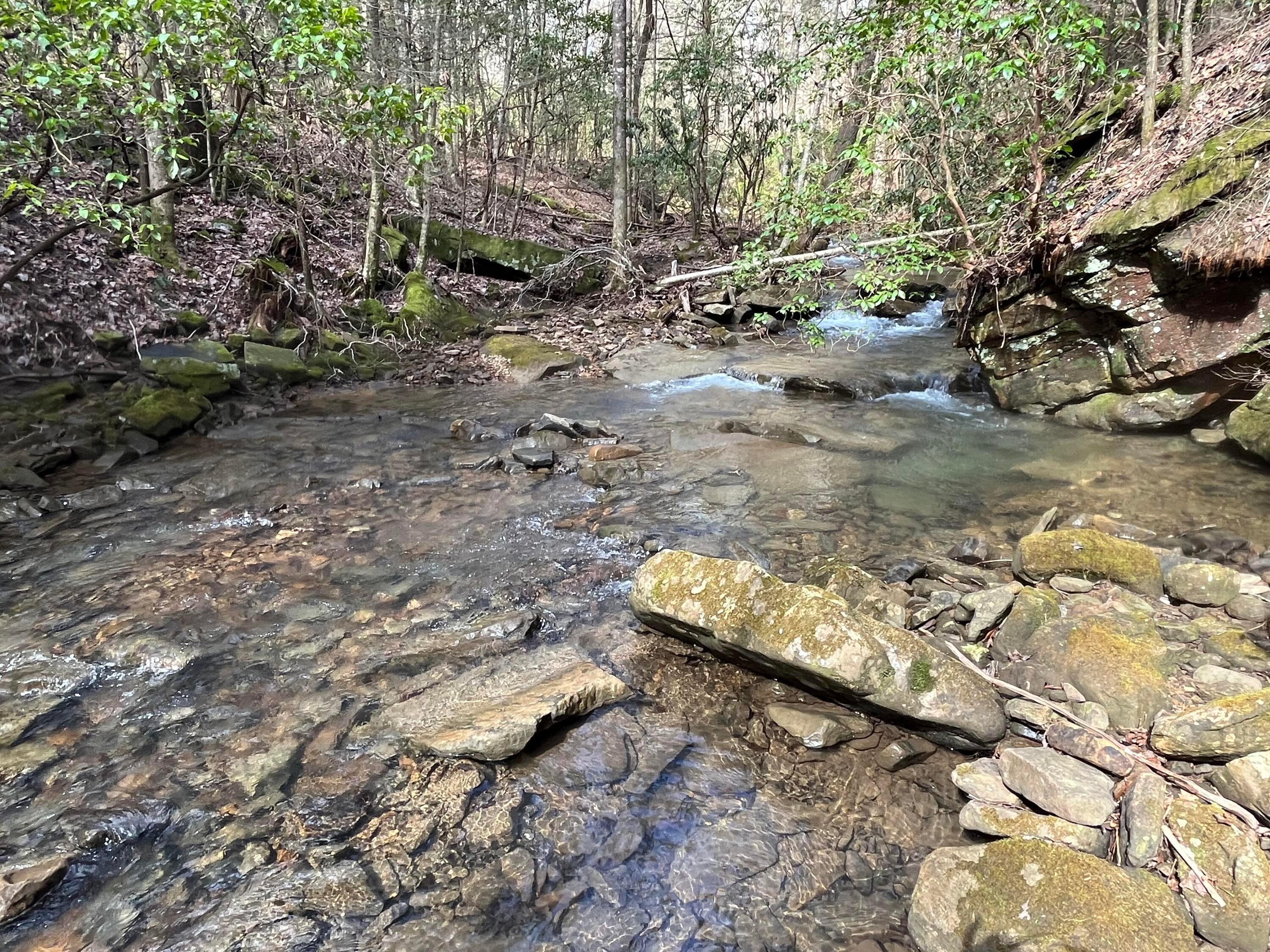 126 Kelly Creek Road